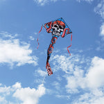 Pirate Large Easy Flyer Kite