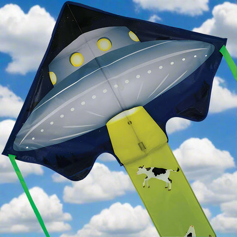 UFo Large Easy Flyer