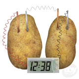 KidzLabs Potato Clock Kit