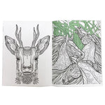 Creative Animals Coloring Book
