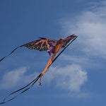 Fantacyflier Dragon 64" Kite