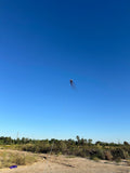 Octopus kite-Giant Airfoil Nylon Kite- 26'