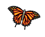 3D Monarch Butterfly 55" Kite