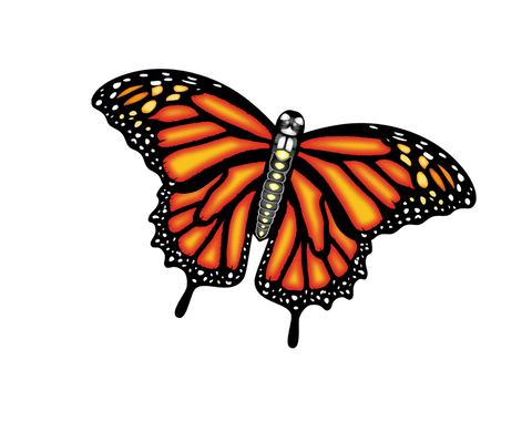 3D Monarch Butterfly 55" Kite