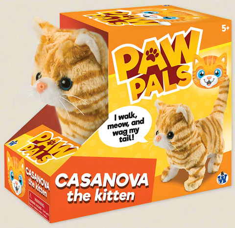 Casanova The Walking Kitten