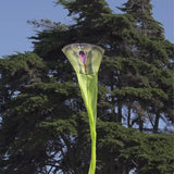 RainForest KingCobra Nylon Kite, 147 Inches Long