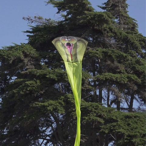 RainForest KingCobra Nylon Kite, 147 Inches Long
