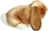 Holland Lop Rabbit Plush