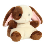Palm Pals Clover Bunny at The Sky's the Limit