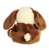 Palm Pals Clover Bunny at The Sky's the Limit