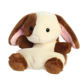 Palm Pals Clover Bunny at The Sky's the Limit