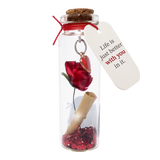 Rose With Message Of Love In Mini Bottle Assortment Display at The Sky's the Limit