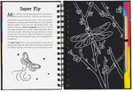 Bugs Scratch & Sketch