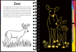 Forest Friends Scratch and Sketch