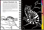 SCRATCH AND SKETCH WILD CATS