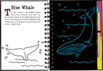 Under the Sea Scratch and Sketch