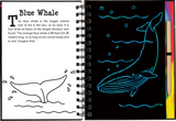 Under the Sea Scratch and Sketch