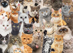 PUZZLE ALL THE CATS 1000 PCS