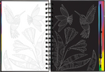 Extreme! The World of Birds Scratch and Sketch