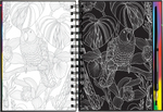 Extreme! The World of Birds Scratch and Sketch