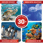 VIRTUAL REALITY OCEANS