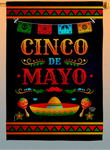 Party De Mayo House Flag