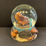 Sea Lion Snow Globe Pismo Beach