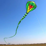 COBRA 8M COLOR LIFE Kite