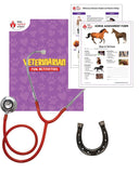 VETERINARIAN HORSE ACTIVITY SET