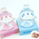 Molang Clear Mochi Squishy Figure Fidget Toy