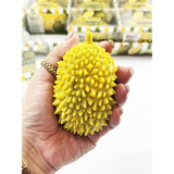 Crunchy Durian Fruit Squishy Toy