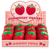 Strawberry Shaped Sensory Toy
