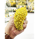 Crunchy Durian Fruit Squishy Toy