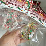 Christmas Bear Squishy