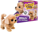 Redley the Walking Golden Retriever Dog