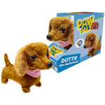 Dottie the Walking Dachshund Dog