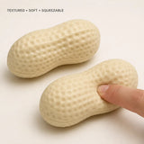Crunchy Peanut Squishy