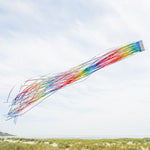 Mylar Rainbow 51" Windsock