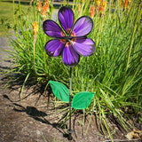 Purple Aster 13 5 Spinner at The Sky's the Limit