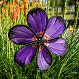 Purple Aster 13 5 Spinner at The Sky's the Limit