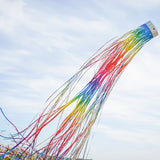 Mylar Rainbow 51" Windsock