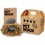 PET ROCK