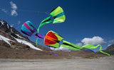 Bora 5 Single Line Kite